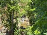 TBD Clito Road - Photo 14