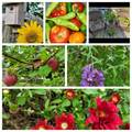 345 Pinecrest Ln - Photo 34