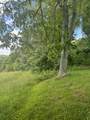 TBD Comers Rock Rd - Photo 17