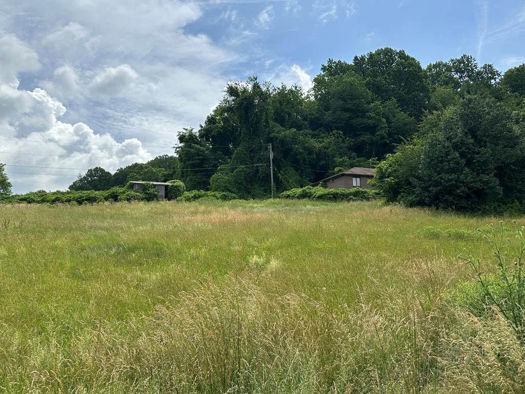 28226 Hillman Highway - Photo 1