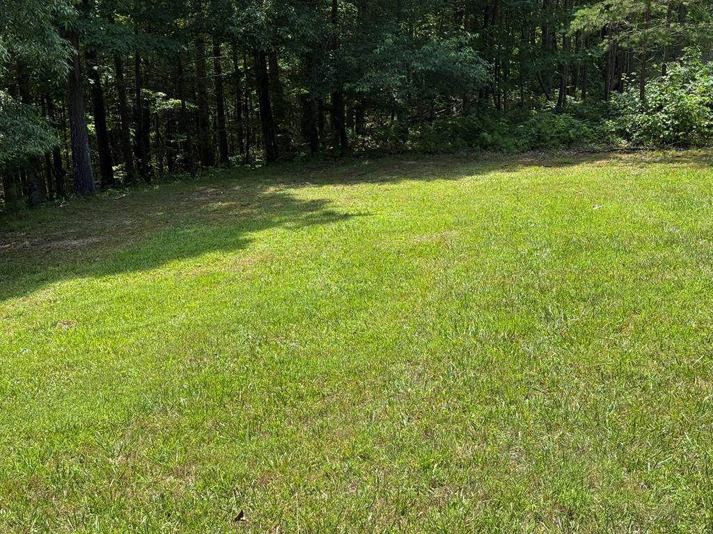 LOT 43 New River Oaks - Photo 1