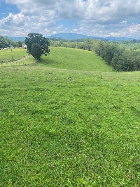 TBD Cornerstone Road - Photo 1