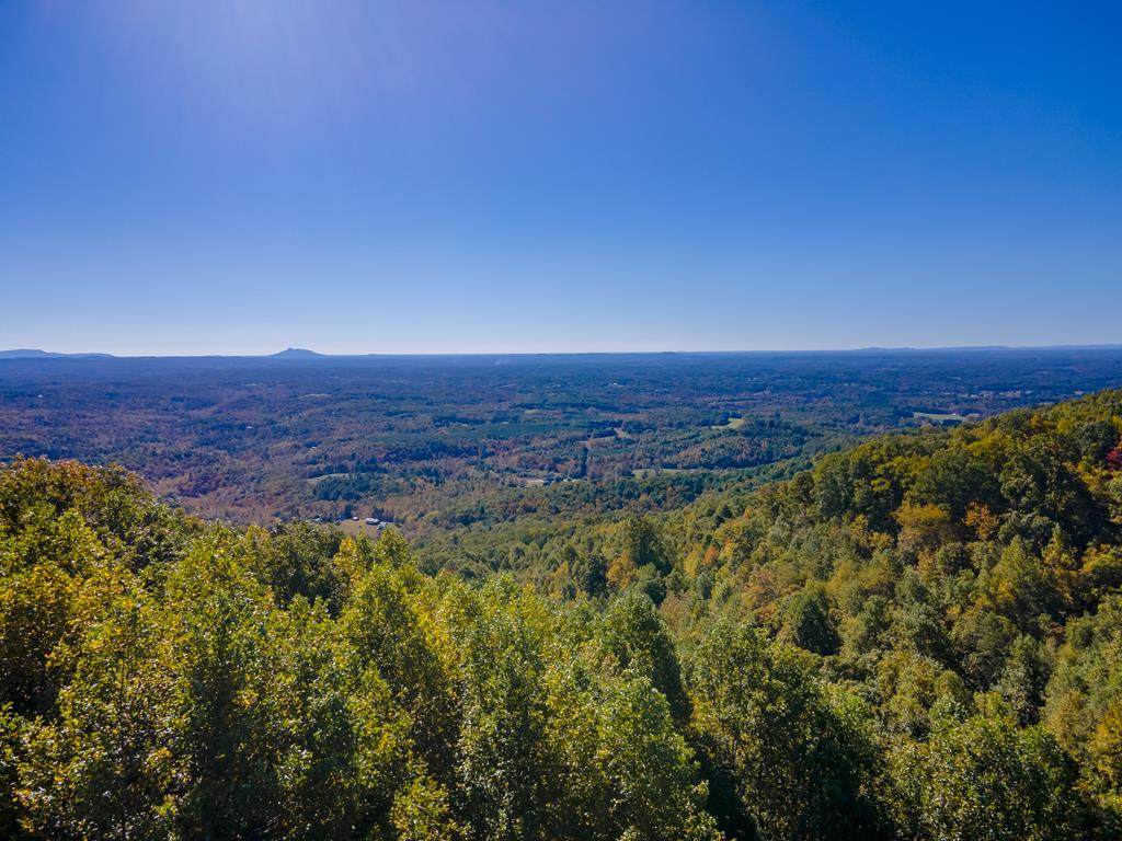 50 Acres Spring Valley Rd - Photo 1