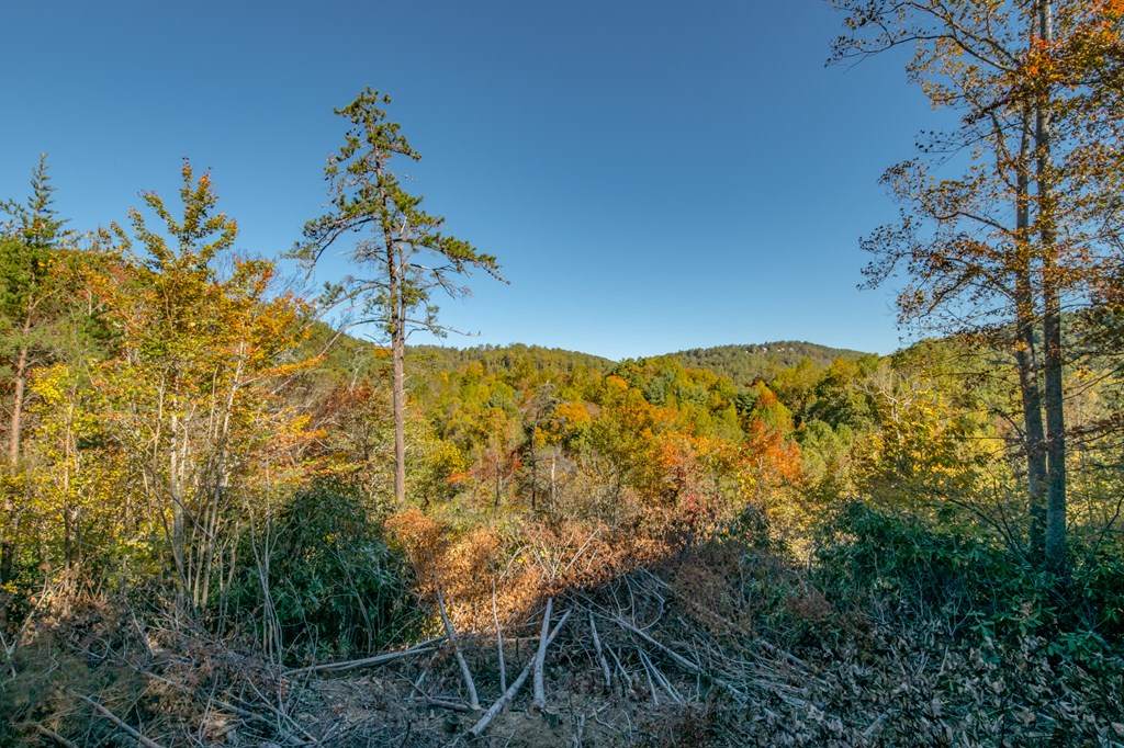 https://bt-photos.global.ssl.fastly.net/swva/orig_boomver_1_103835-2.jpg