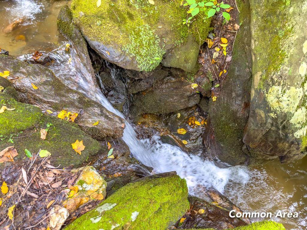 3 Lots Old Pond Trl - Photo 1