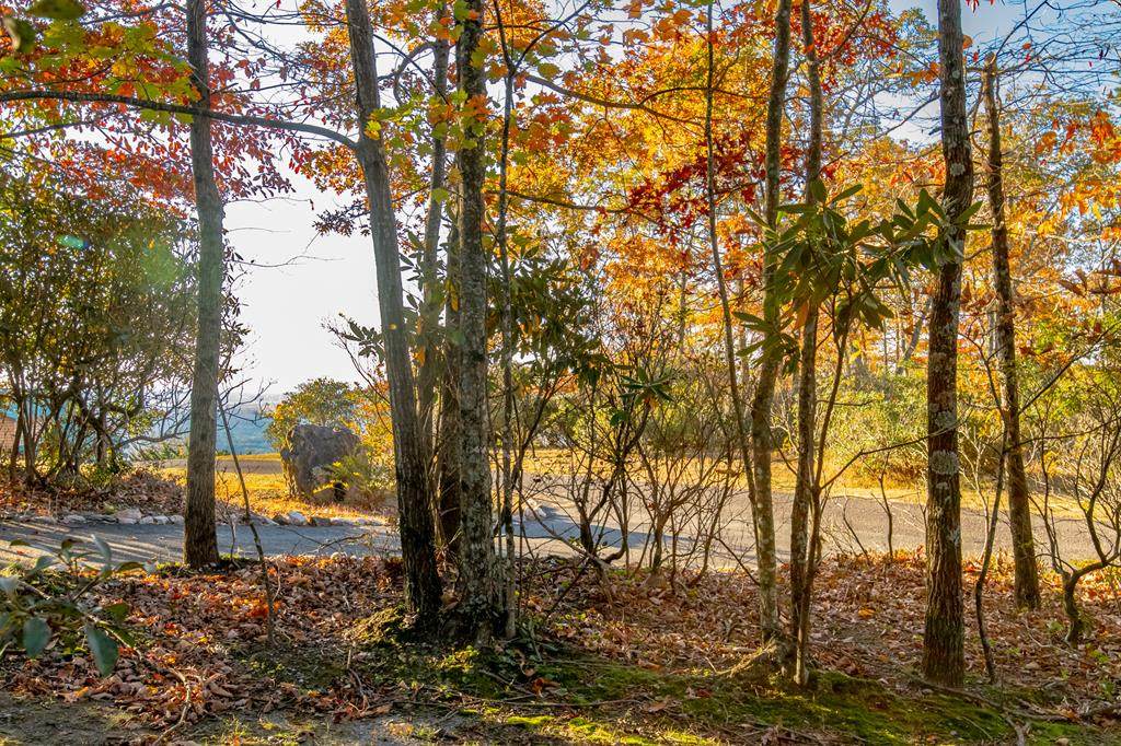 Lot 41 Moonlight Ln - Photo 1