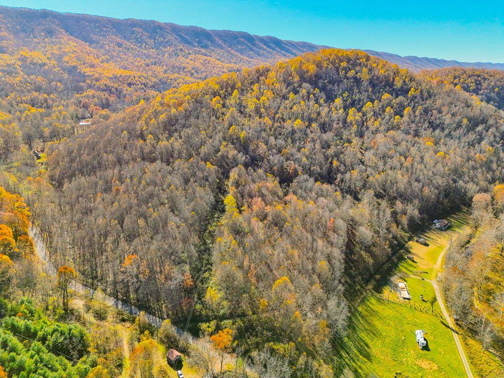 TBD Indian Paint Road - Photo 1