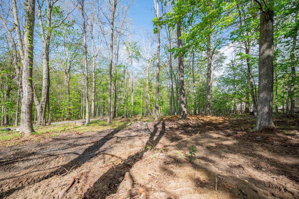 3826 Scenic Highway - Photo 1