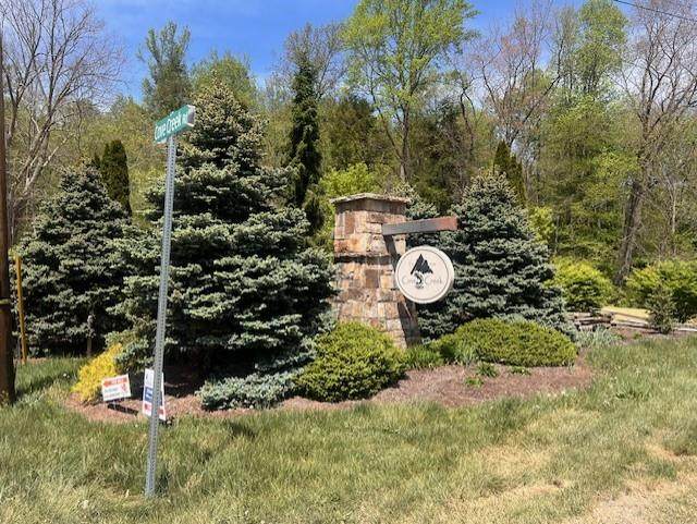 LOT 12 Cove Creek - Photo 1