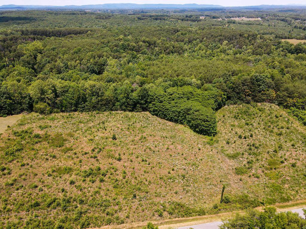 00 Hinesville Rd - Photo 1