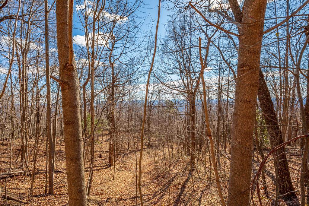 Lot 124 Spring Pond Trl - Photo 1