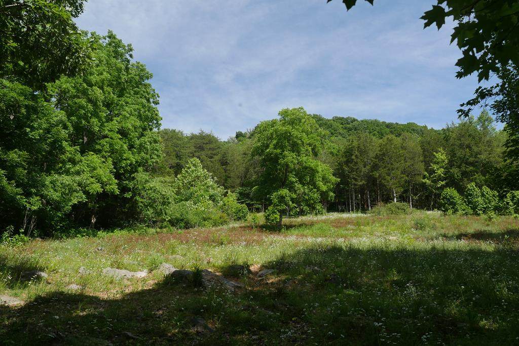 TBD Saratoga Lane - Photo 1