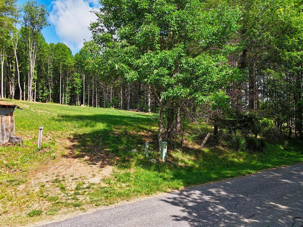 TBD Dogwood Lane - Photo 1