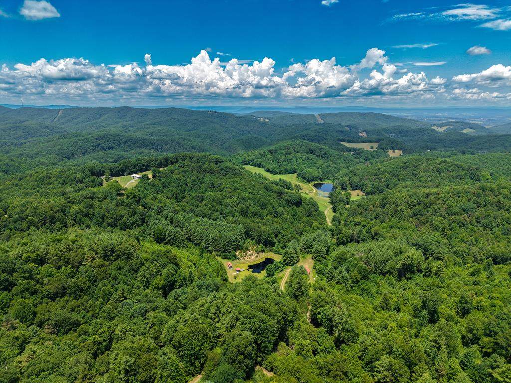 TBD Little Vine Road - Photo 1