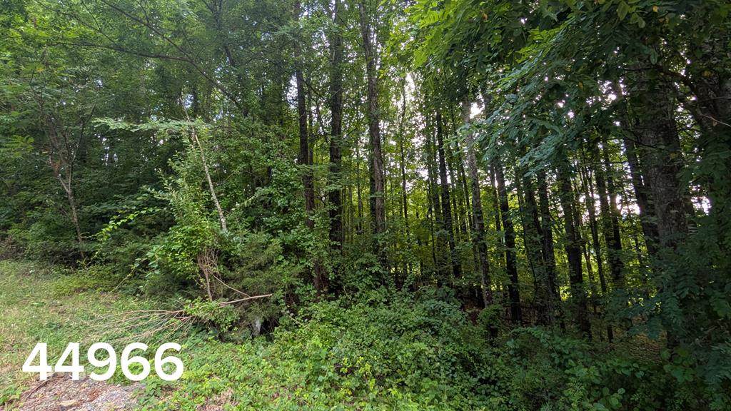 TBD Village Loop - Photo 1