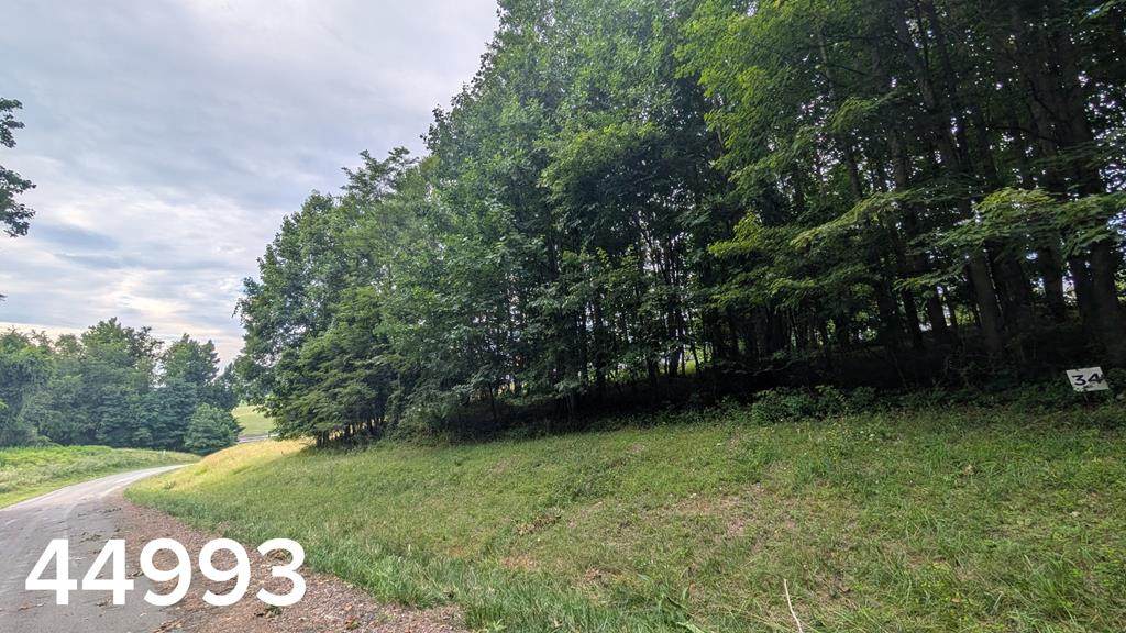 TBD Village Loop - Photo 1