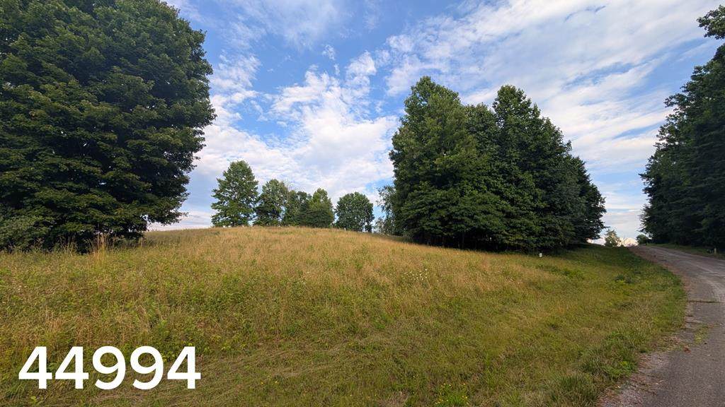 TBD Village Loop - Photo 1