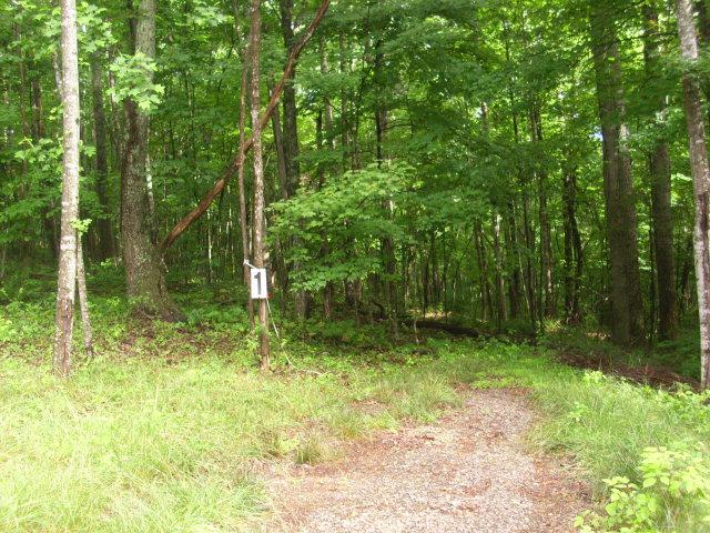 TBD Willow Bend Drive - Photo 1