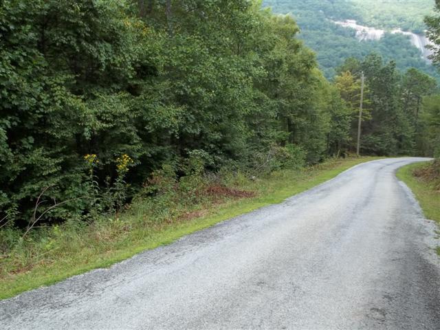 TBD Forest Trail - Photo 1