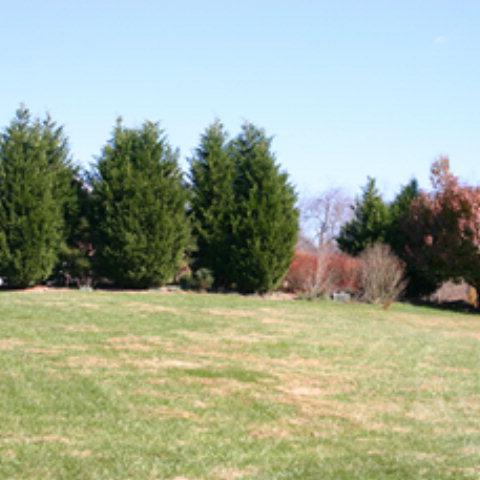 TBD Landridge - Photo 1