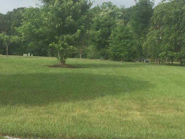TBD Loretto Drive - Photo 1