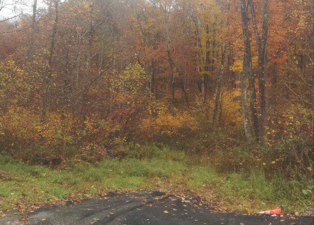 0 Coeburn Mountain Road - Photo 1