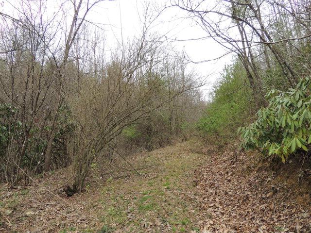 TBD Gem Stream Road - Photo 1