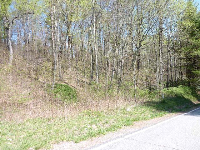 TBD Squirrel Spur Rd - Photo 1