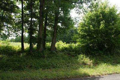 TBD Gambetta Rd - Photo 1