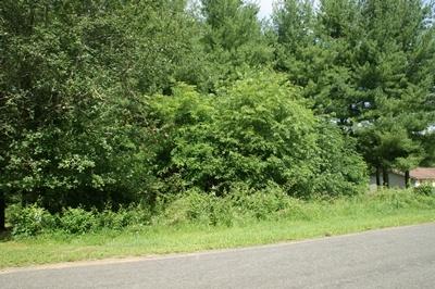 TBD Gambetta Rd - Photo 1