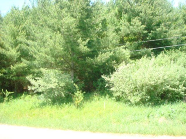 TBD Oak Ridge Dr - Photo 1