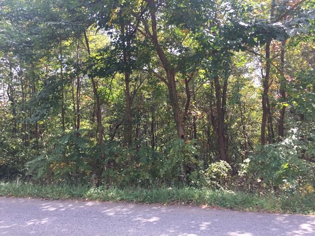 0 Thaxton Rd - Photo 1