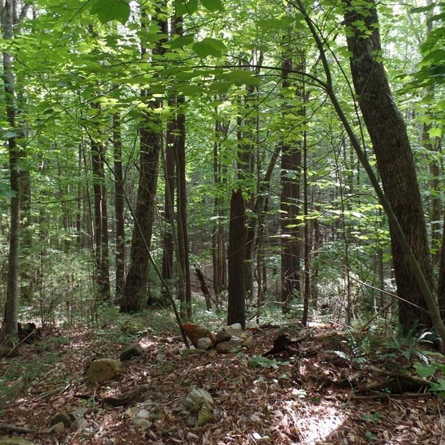 TBA Jeb Stuart Highway - Photo 1