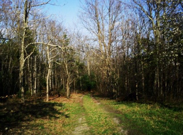 359 Fox Mountain Road - Photo 1