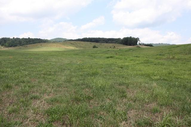 TBD Reedy Creek Rd, Lot 6 - Photo 1