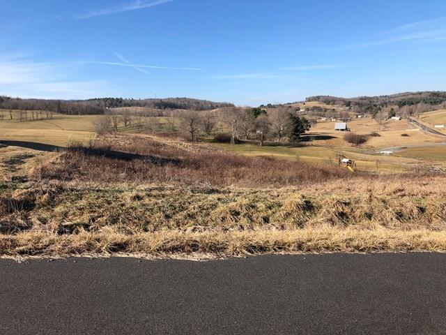 TBD Big Bend Dr. - Photo 1