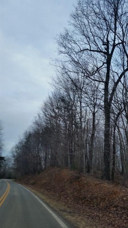 TBD Iron Bridge Rd - Photo 1