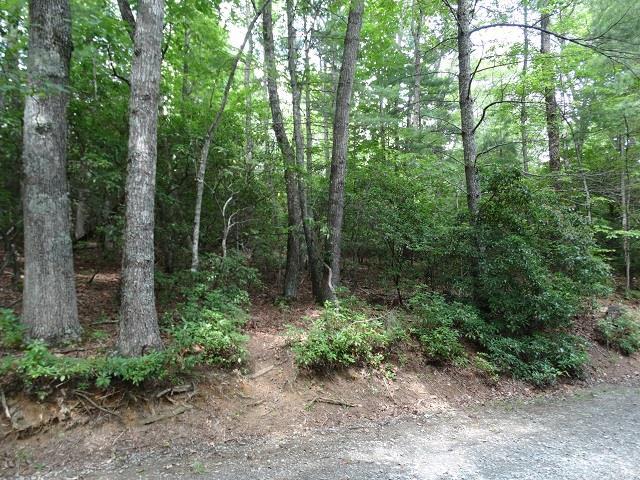 TBD Forestgreen Drive - Photo 1