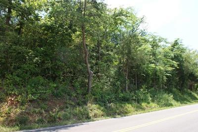 TBD Lead Mine Rd - Photo 1