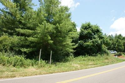 TBD Lead Mine Rd - Photo 1