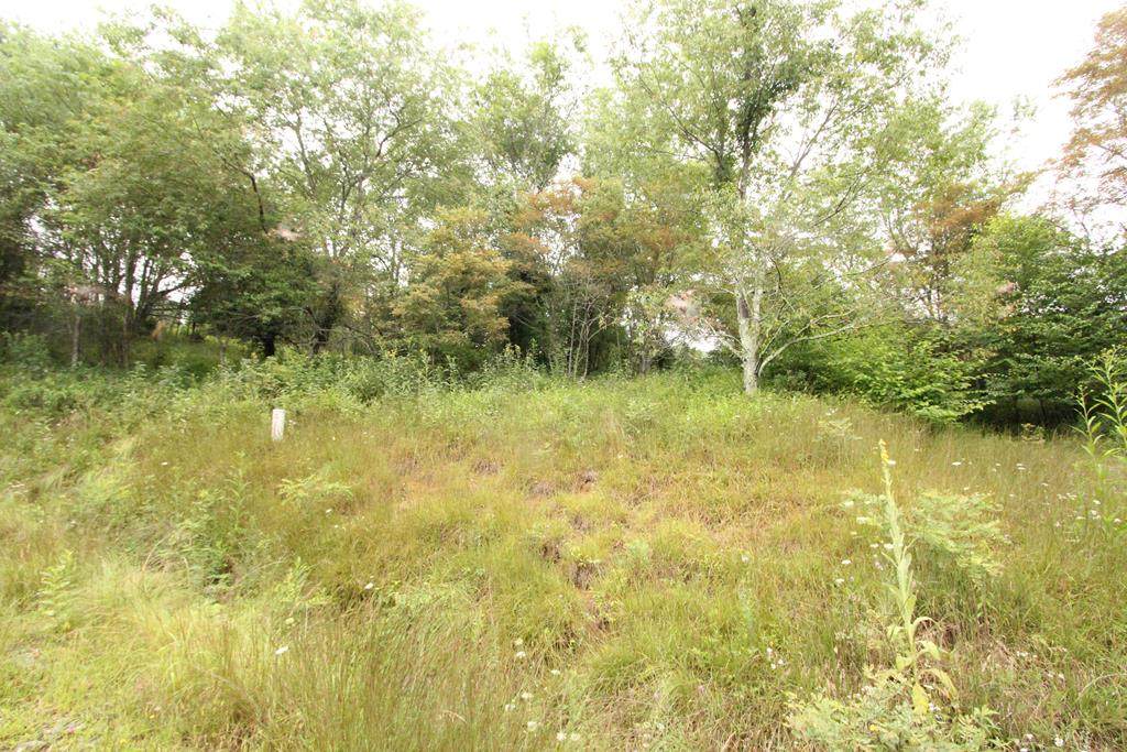 132 Point Lookout Ln. - Photo 1