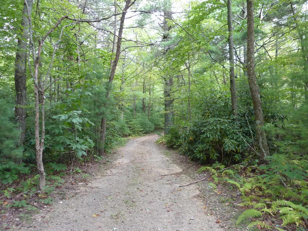 TBD Ramp Hollow Lane - Photo 1