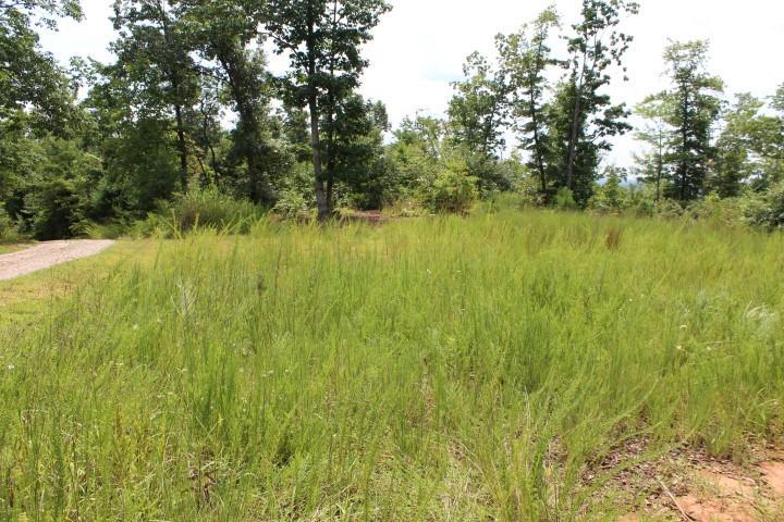 0 Old Orchard Loop - Photo 1
