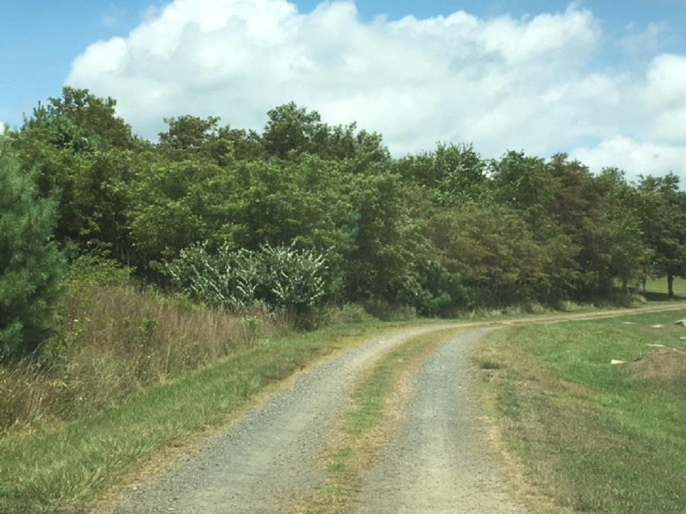# 3 Alpine Ridge - Photo 1