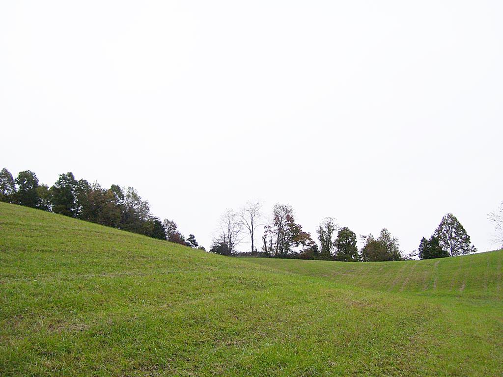 TR. 20 Spur Strap Road - Photo 1