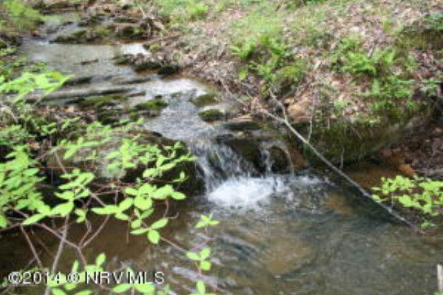 TBD Goblintown Rd - Photo 1