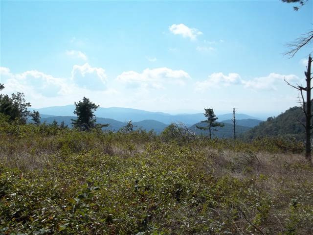 TBD Windy Ridge Trail - Photo 1