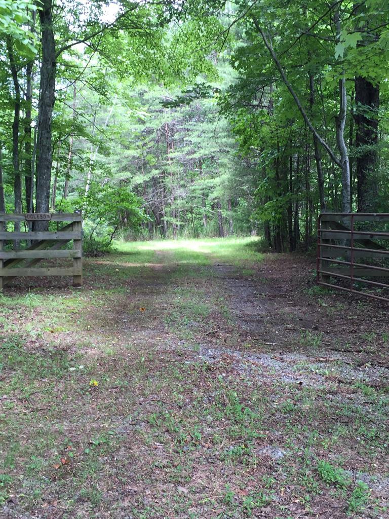 TBA Polebridge Road - Photo 1