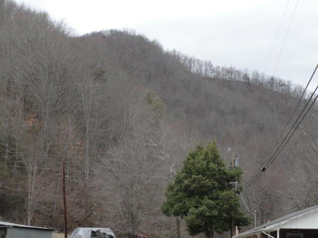 TBD Carlock Creek Road - Photo 1