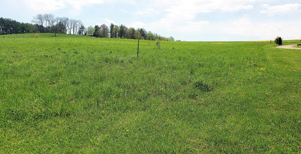 TBD Coulson Church Rd - Photo 1